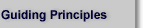 Guiding principles