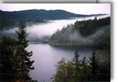 Olympic Peninsula